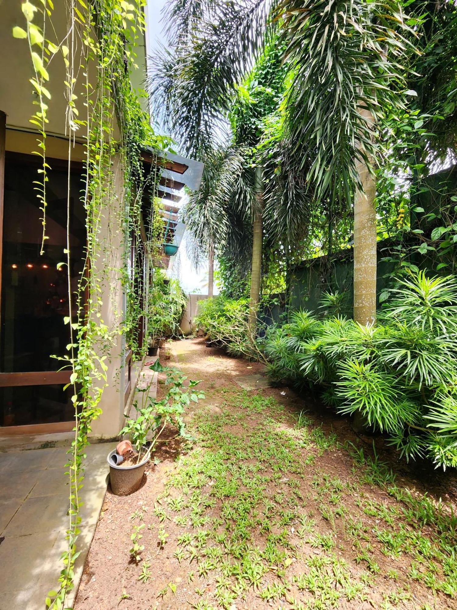 Cozy Luxury Room With Balcony View ! Rajagiriya Eksteriør billede